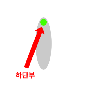 여자 성감대 콩알